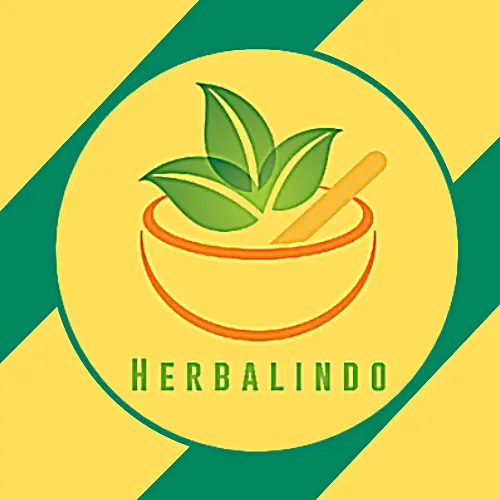 PT Nose Herbal Indo